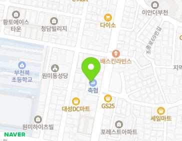 경기도 부천시 원미구 원미로 125 (원미동) 지도