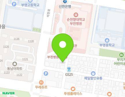 경기도 부천시 원미구 부흥로177번길 21 (중동, 황실다세대) 지도