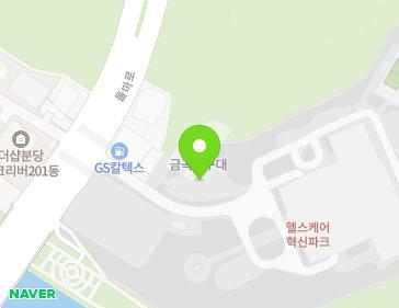 경기도 성남시 분당구 돌마로 174 (정자동, 금곡지구대임시청사) 지도