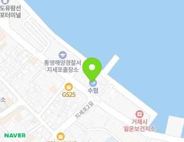 경상남도 거제시 일운면 지세포해안로 91 (지세포수협) 지도
