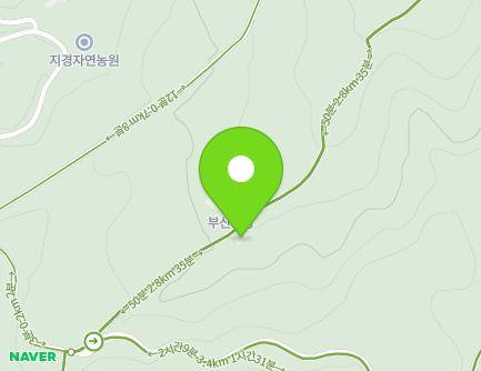 경상남도 거창군 고제면 지경길 119-87 (부산농장) 지도