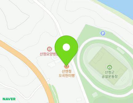 경상남도 산청군 금서면 친환경로2605번길 59 (효성식품영농조합법인) 지도