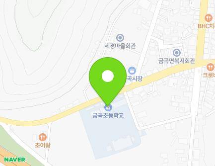 경상남도 진주시 금곡면 월아산로89번길 11 (금곡초등학교) 지도