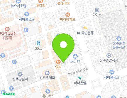 경상남도 진주시 진양호로531번길 11-3 (대안동) 지도