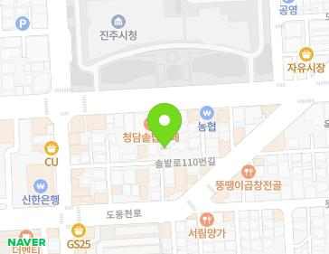 경상남도 진주시 솔밭로110번길 11 (상대동, 정복빌리지) 지도