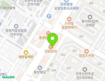 경상남도 진주시 진양호로 298 (신안동) 지도