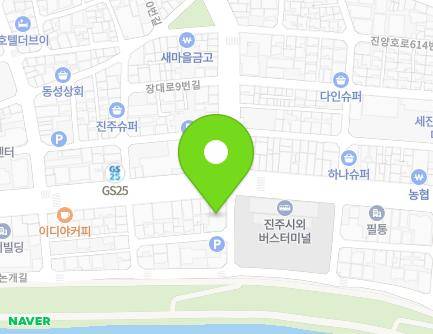 경상남도 진주시 남강로 706 (장대동) 지도