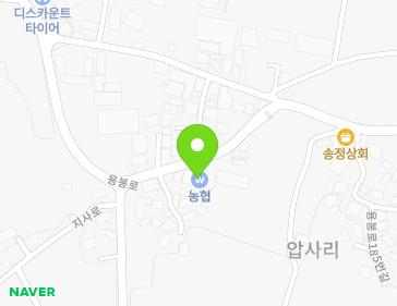 경상남도 진주시 지수면 용봉로 203 (진양농협송정간이지소) 지도