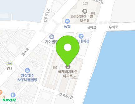 경상남도 창원시 마산합포구 합포동5길 23 (산호동, 국제비치타운) 지도