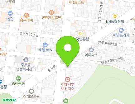 경상남도 창원시 진해구 중원동로 66 (대흥동, 진해성심신용협동조합) 지도