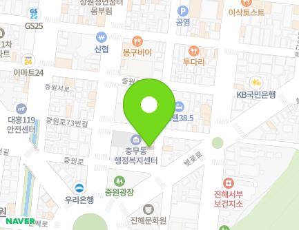 경상남도 창원시 진해구 충장로82번길 24 (대흥동, 백두산) 지도
