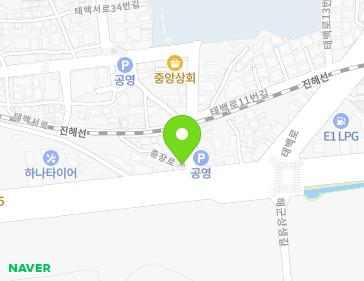 경상남도 창원시 진해구 충장로 205-1 (여좌동, 풍전자전거) 지도