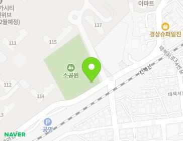 경상남도 창원시 진해구 대야남로62번길 6 (태백동, 금화아파트) 지도