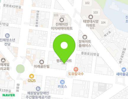 경상남도 창원시 진해구 중원동로 19 (태평동, 드림아트) 지도