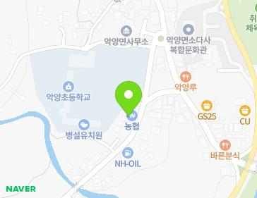 경상남도 하동군 악양면 악양서로 347 (악양농협) 지도