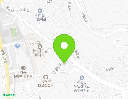 경상남도 하동군 하동읍 오룡정길 36 (하동카고) 지도