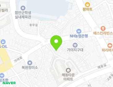 경상남도 함안군 가야읍 가야4길 7 (성우빌) 지도