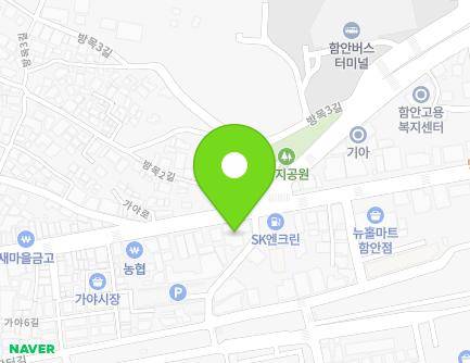경상남도 함안군 가야읍 가야로 60 (홍성빌딩) 지도