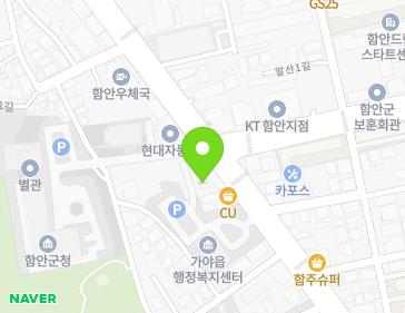 경상남도 함안군 가야읍 함안대로 509 (옛날가마솥금순이국밥,함안합동인쇄공사) 지도