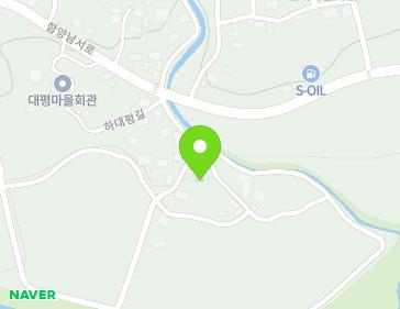 경상남도 함양군 백전면 하대평길 10-1 지도