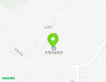 경상남도 함양군 유림면 유평안길 22 (유평마을회관) 지도