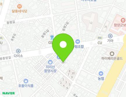 경상남도 함양군 함양읍 중앙시장길 9-8 지도