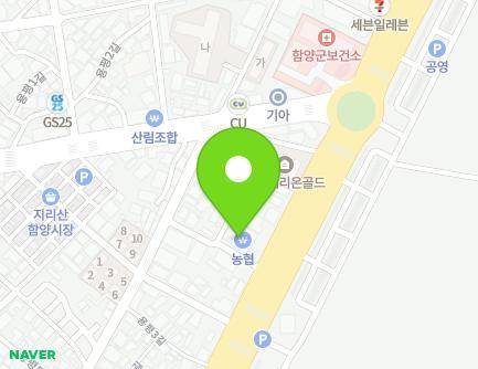 경상남도 함양군 함양읍 한들로 121 (함양농협) 지도