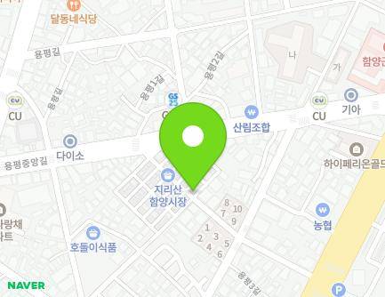 경상남도 함양군 함양읍 중앙시장길 11-3 (함양청과) 지도