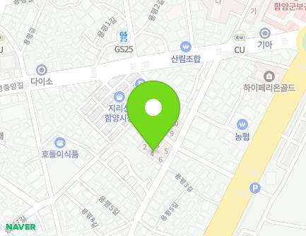 경상남도 함양군 함양읍 중앙시장길 14-1 (아카시아아파트) 지도