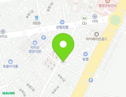 경상남도 함양군 함양읍 중앙시장길 17 (신성가축병원) 지도