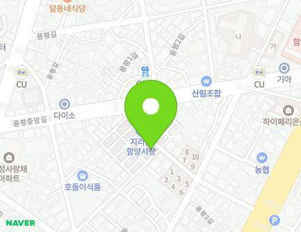 경상남도 함양군 함양읍 중앙시장길 10-3 (함양전집) 지도
