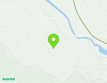 경상남도 함양군 함양읍 대실곰실로 287 지도