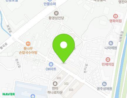 경상북도 경주시 천사1길 23-1 (구정동, 삼양하나로타운) 지도