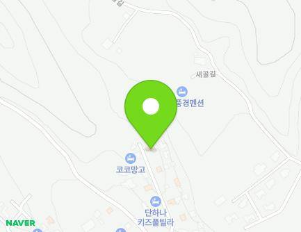 경상북도 경주시 새골길 49-80 (구정동, 블리블리키즈풀빌라) 지도