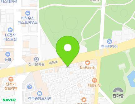 경상북도 경주시 태종로 738 (사정동) 지도