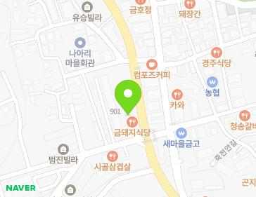 경상북도 경주시 양남면 나아1길 4-3 지도