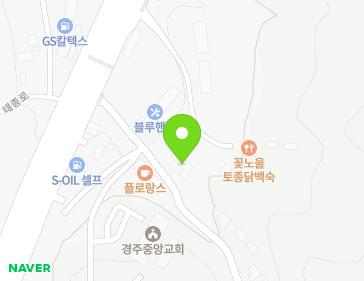 경상북도 경주시 태종로 266-11 (충효동, 미주빌리지) 지도