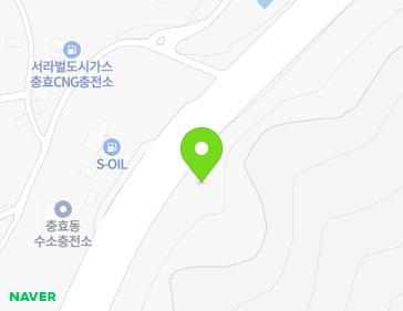 경상북도 경주시 태종로 316 (충효동, 요지주택) 지도