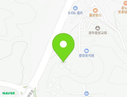 경상북도 경주시 태종로 238 (충효동) 지도