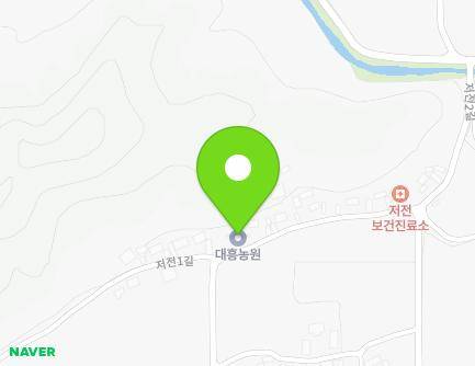 경상북도 고령군 대가야읍 저전1길 48 지도