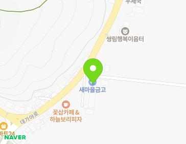 경상북도 고령군 쌍림면 대가야로 588 (새마을금고) 지도