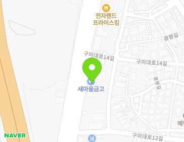 경상북도 구미시 구미대로 216 (광평동) 지도