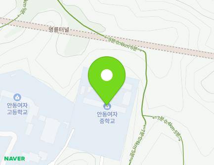 경상북도 안동시 법상윗3길 30-42 (법상동, 안동여자중학교) 지도