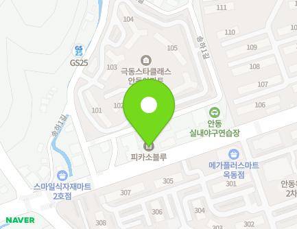 경상북도 안동시 은행나무로 93 (옥동, 피카소블루) 지도