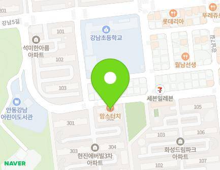 경상북도 안동시 강남1길 98-19 (정하동, 현진에버빌3차) 지도