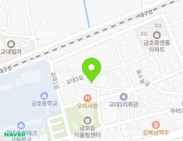 경상북도 영천시 금호읍 교대5길 14 (다빈치빌라) 지도