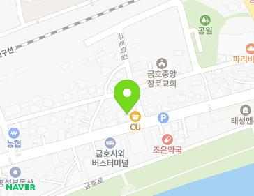 경상북도 영천시 금호읍 금호로 73 지도
