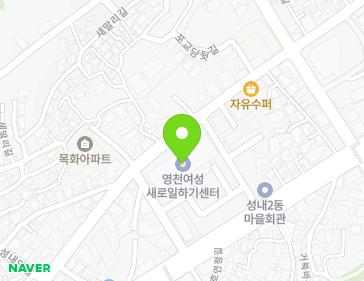 경상북도 영천시 최무선로 243 (성내동, 평생학습관) 경상북도 영천시 최무선로 243 (성내동, 평생학습관) 지도