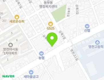 경상북도 영천시 호국로 45 (야사동) 지도