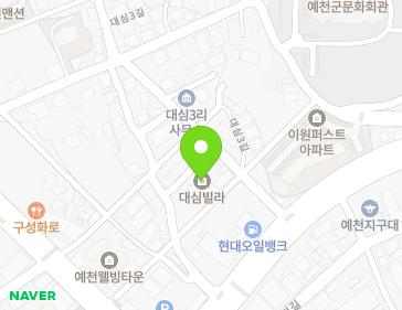 경상북도 예천군 예천읍 대심3길 12 (대심빌라) 지도